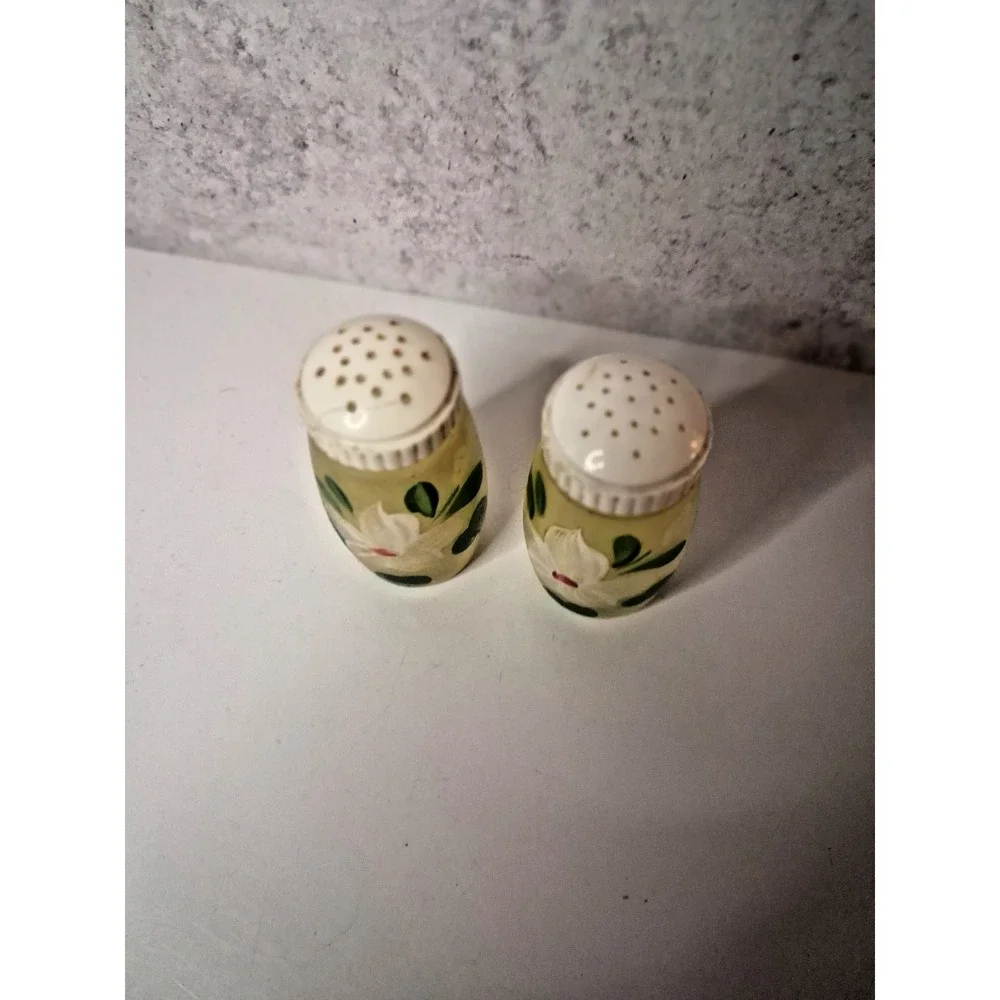 Glass Salt and Pepper Shakers,Bartlett Collins, Hand-Painted FloralDesign